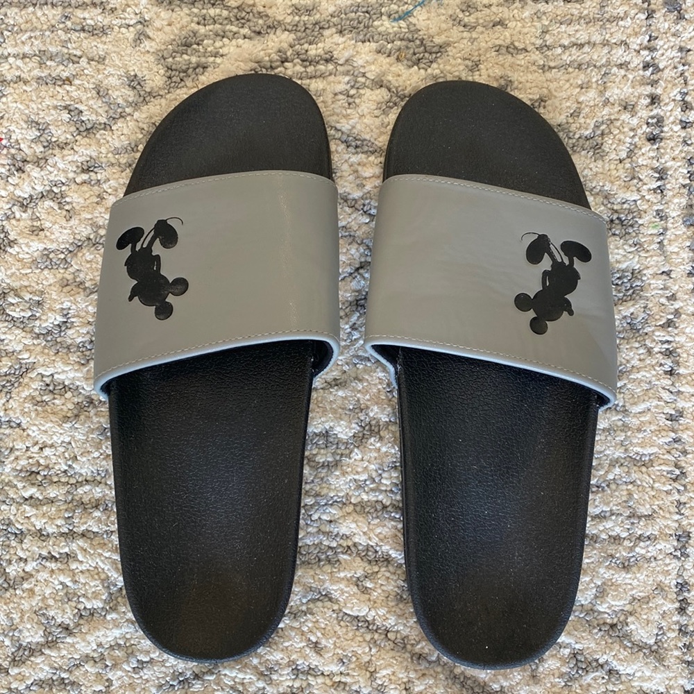 Disney slides